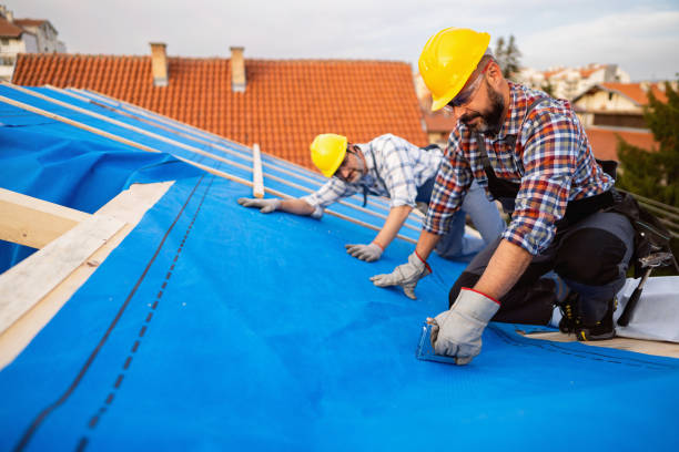 Best Roof Gutter Cleaning  in Grant, MN