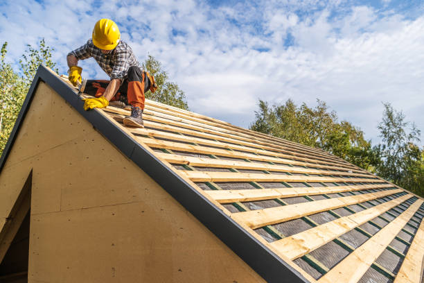 Best Roof Leak Repair  in Grant, MN