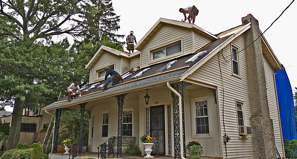 Best Roof Repair Services  in Grant, MN