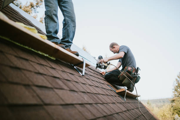 Best Flat Roof Repair Services  in Grant, MN